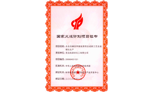 火炬计划项目书1-1